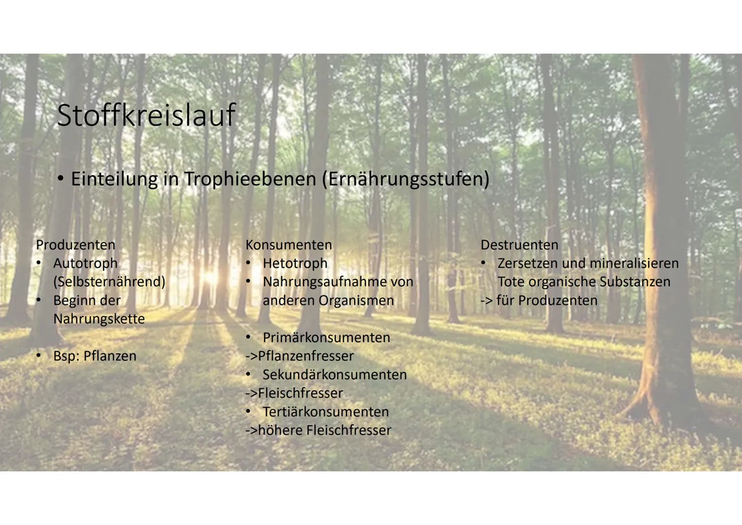 Stoff- und
Energieumwandlung
Basiskonzept B4 Allgemeines:
Basiskonzept B4
Stoff und Energieumwandlung
Stoffkreislauf:
-Lebewesen sind offene