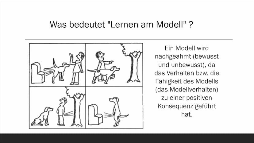 Albert Bandura:
Aggression als Folge von
Modelllernen Gliederung
"Dieses Foto" von Unbekannter Autor ist
lizenziert gemäß CC BY-NC
Albert Ba
