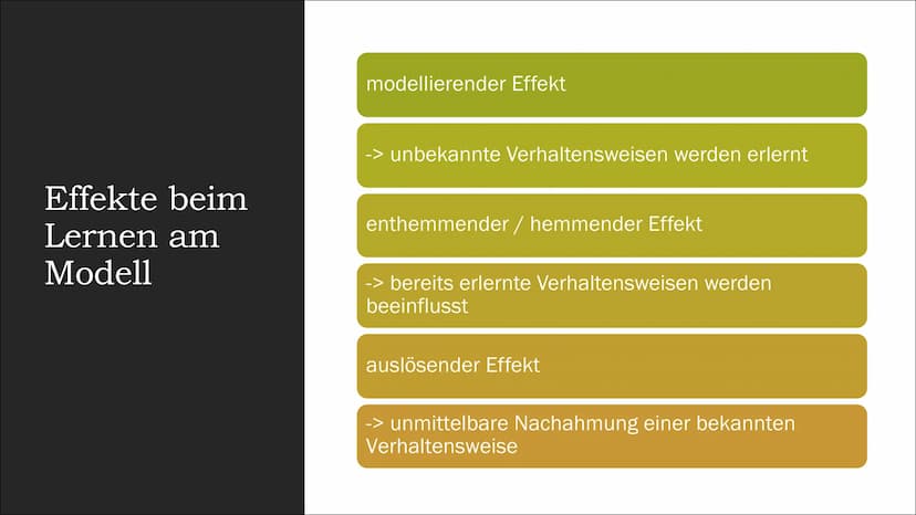 Albert Bandura:
Aggression als Folge von
Modelllernen Gliederung
"Dieses Foto" von Unbekannter Autor ist
lizenziert gemäß CC BY-NC
Albert Ba