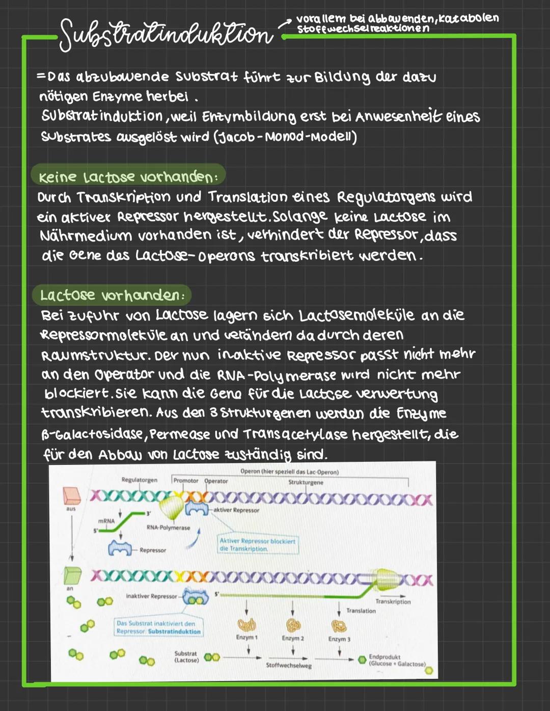 mutationen:
-daverhafte veränderung des genetischen Materials einer Zelle.
· spontane Mutation : Spontan, unter naturlichen Bedingungen
· In