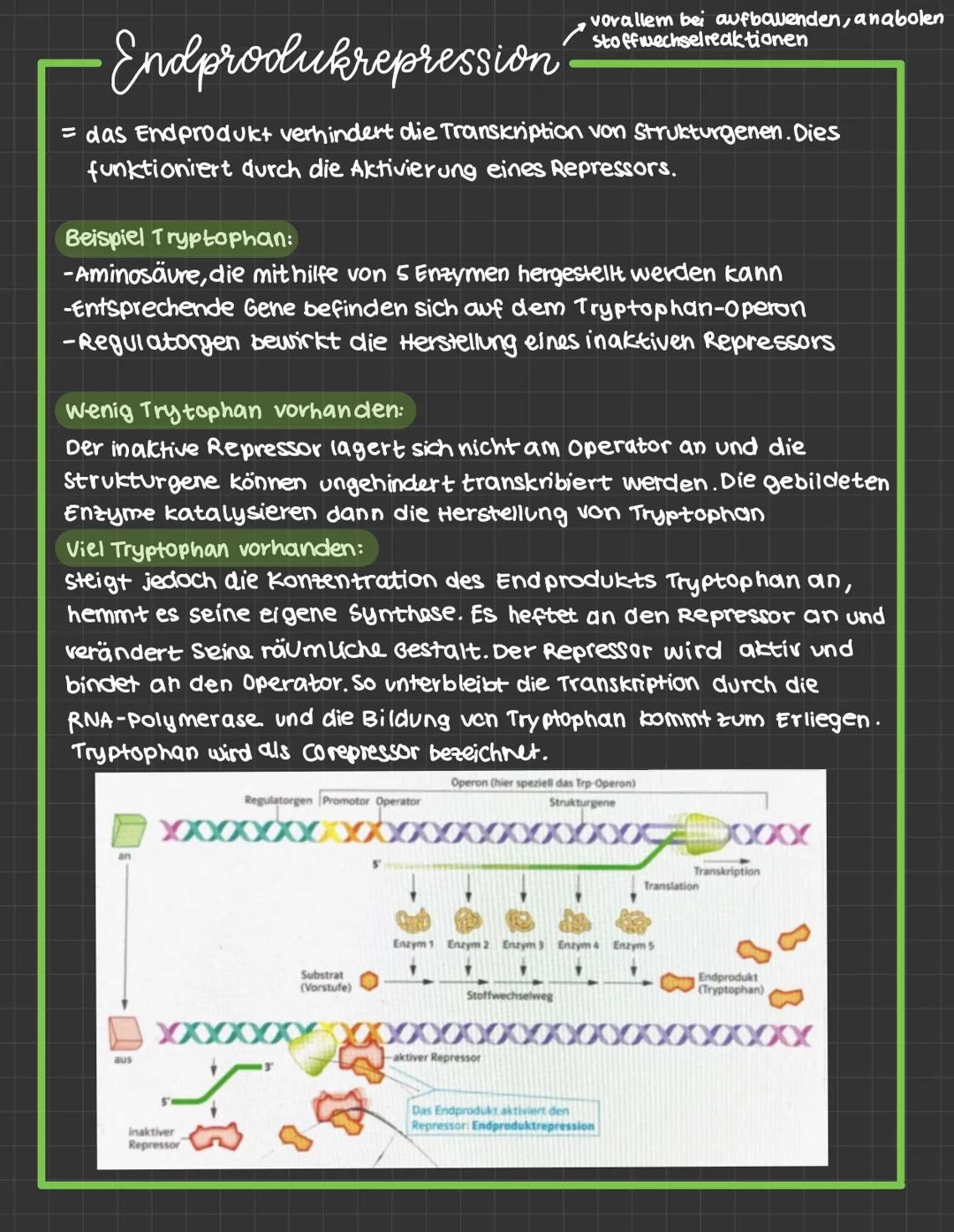 mutationen:
-daverhafte veränderung des genetischen Materials einer Zelle.
· spontane Mutation : Spontan, unter naturlichen Bedingungen
· In