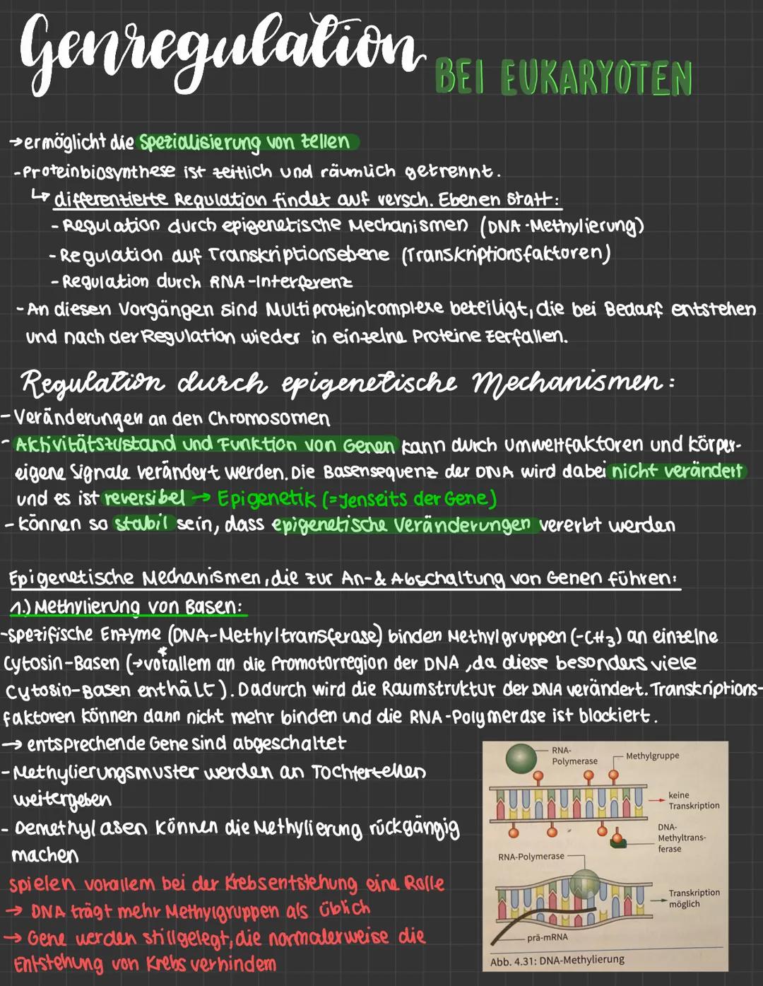 mutationen:
-daverhafte veränderung des genetischen Materials einer Zelle.
· spontane Mutation : Spontan, unter naturlichen Bedingungen
· In