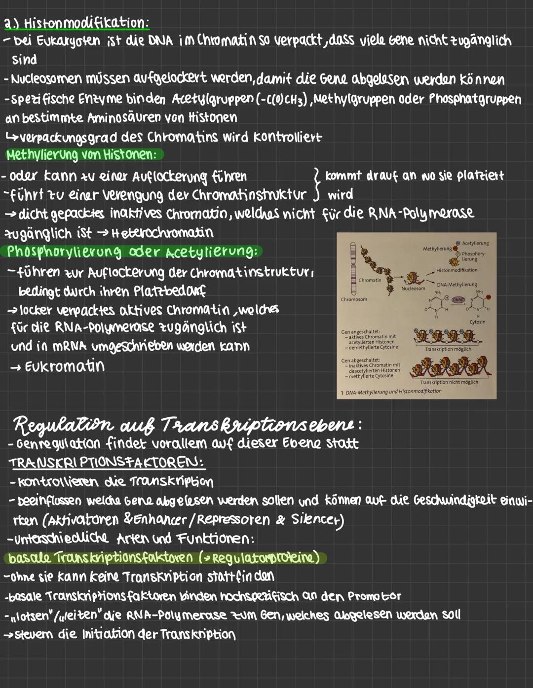 mutationen:
-daverhafte veränderung des genetischen Materials einer Zelle.
· spontane Mutation : Spontan, unter naturlichen Bedingungen
· In