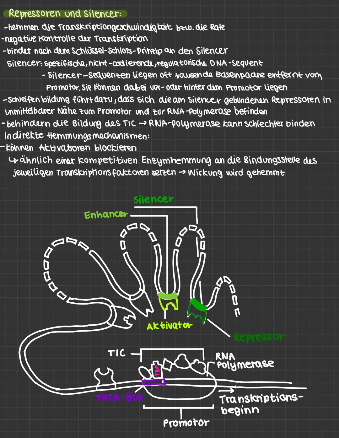 mutationen:
-daverhafte veränderung des genetischen Materials einer Zelle.
· spontane Mutation : Spontan, unter naturlichen Bedingungen
· In