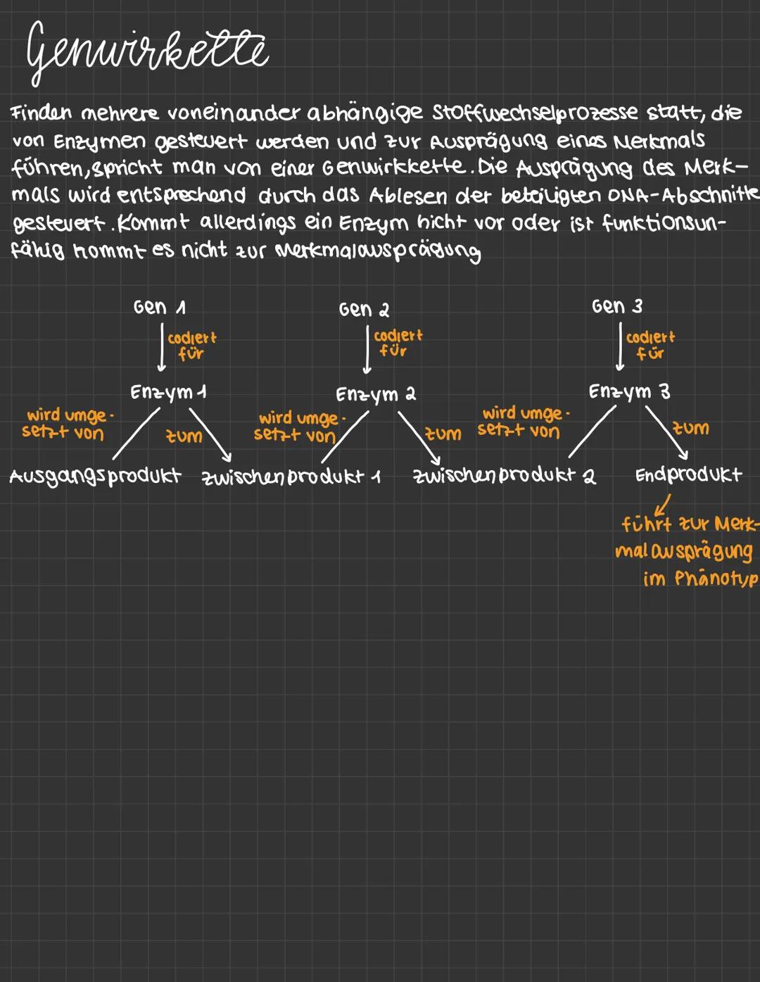 mutationen:
-daverhafte veränderung des genetischen Materials einer Zelle.
· spontane Mutation : Spontan, unter naturlichen Bedingungen
· In