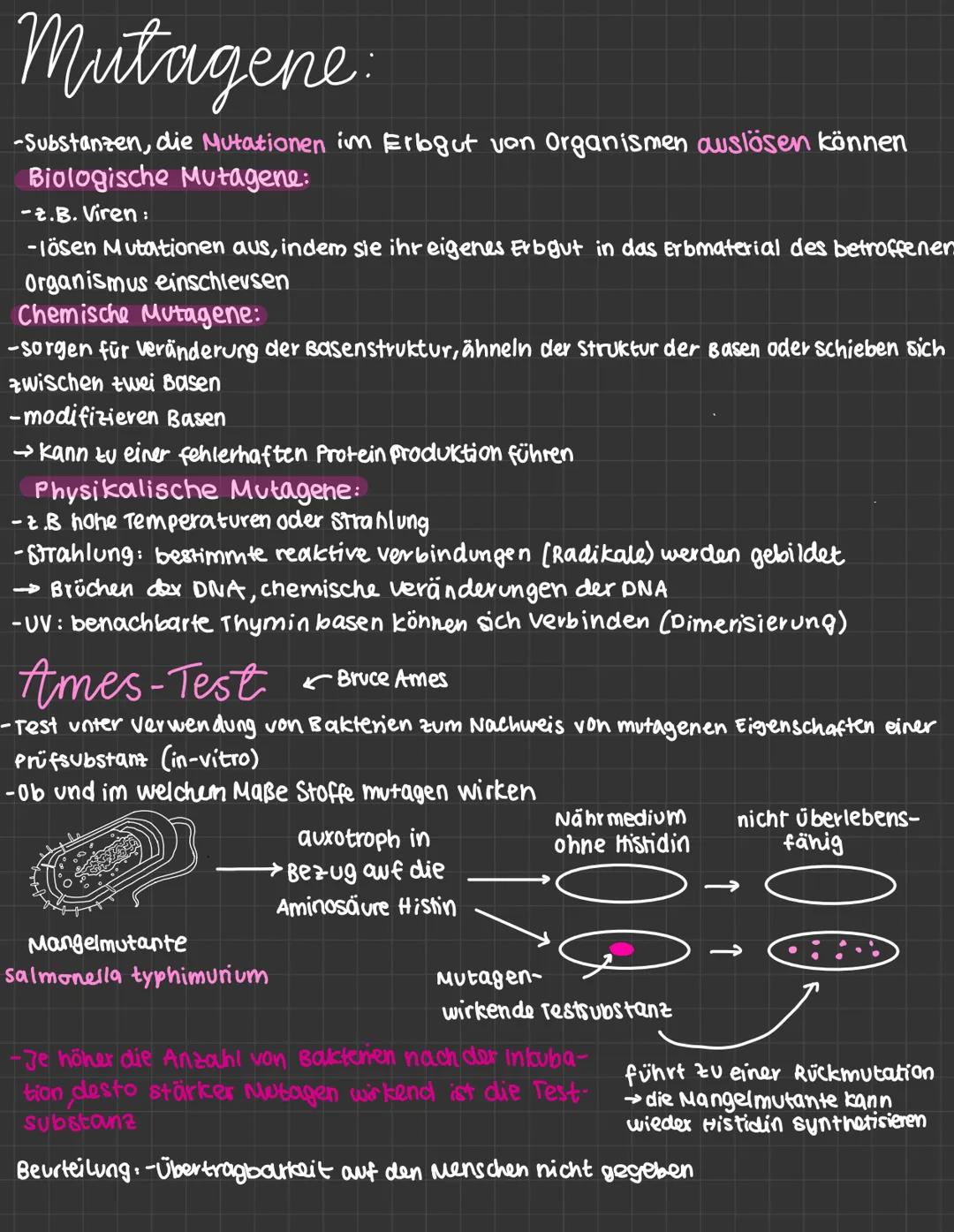 mutationen:
-daverhafte veränderung des genetischen Materials einer Zelle.
· spontane Mutation : Spontan, unter naturlichen Bedingungen
· In