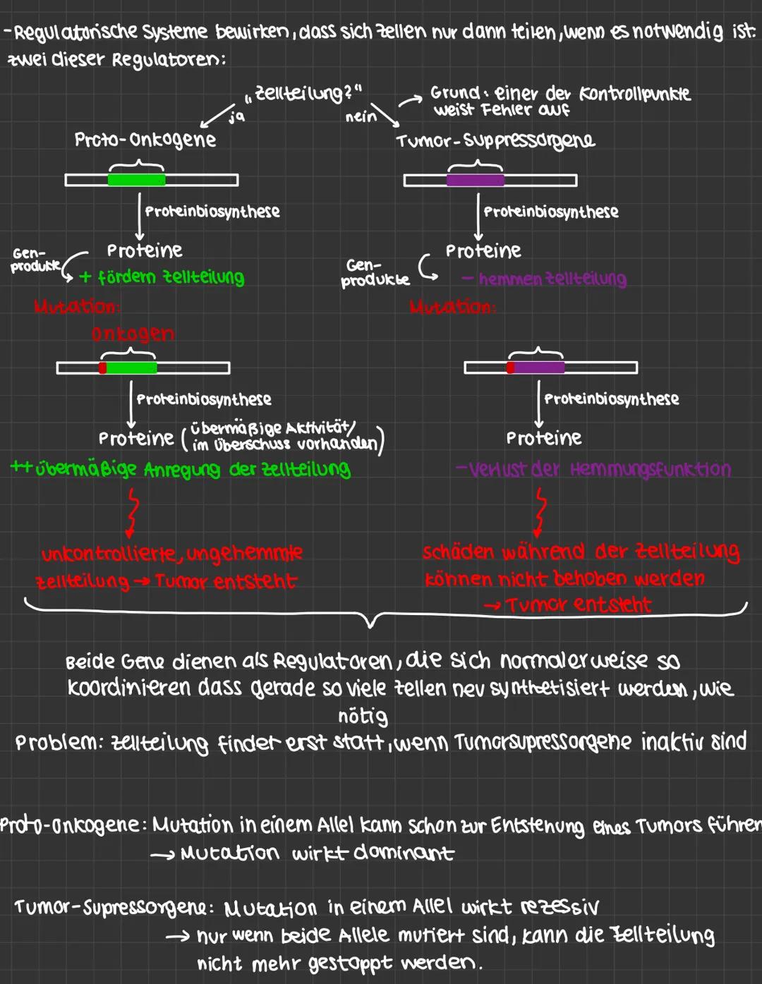 mutationen:
-daverhafte veränderung des genetischen Materials einer Zelle.
· spontane Mutation : Spontan, unter naturlichen Bedingungen
· In