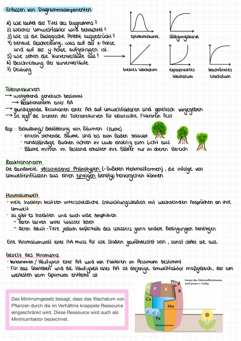 Ökologie - Begriffserklärungen
(AB/Folie: Was ist Ökologie? (RAAbits) bzw. Wasserfloh)
Das Leben des Wasserflohs wird bestimmt durch viele F