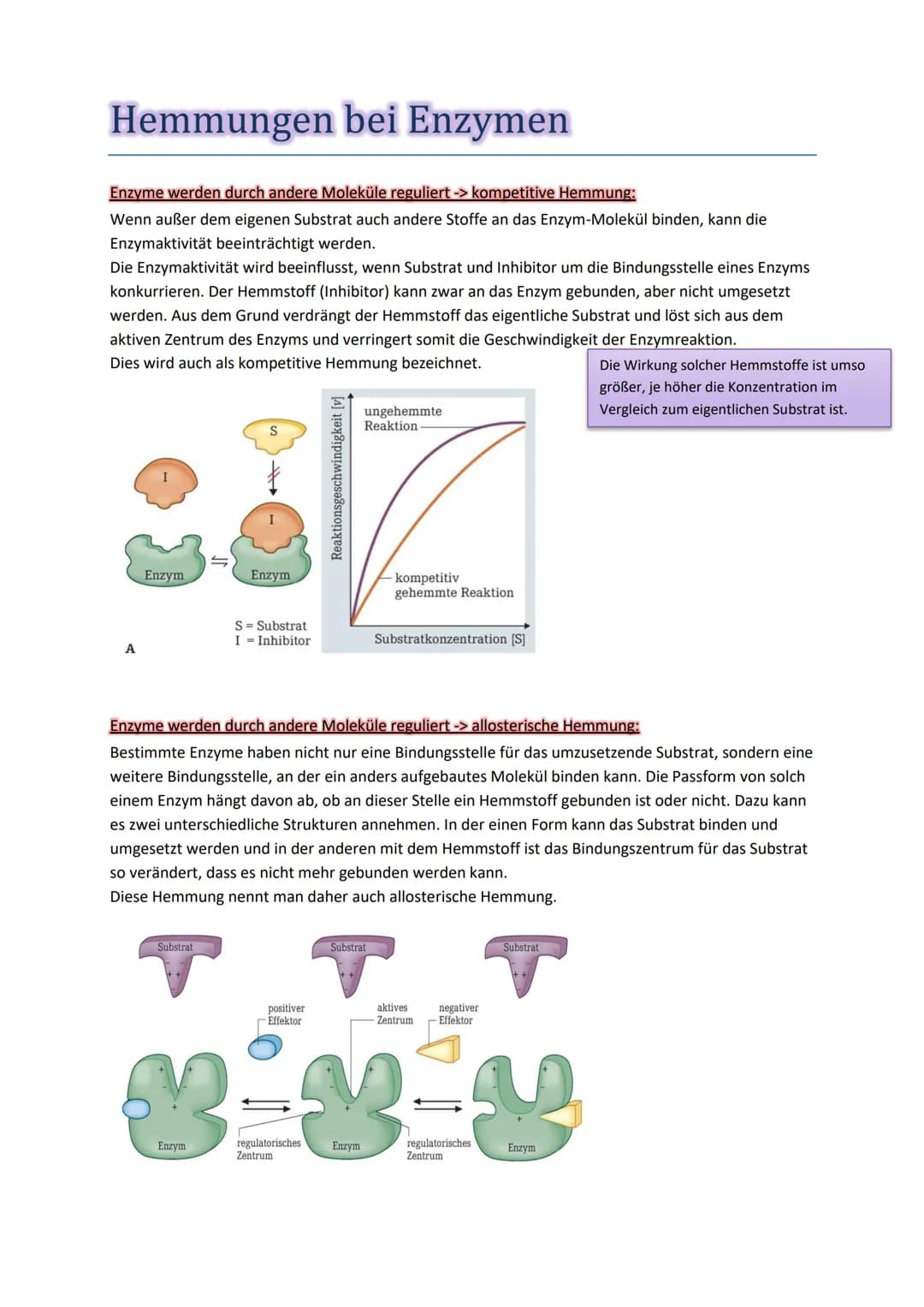 Hemmungen bei Enzymen
Enzyme werden durch andere Moleküle reguliert -> kompetitive Hemmung:
Wenn außer dem eigenen Substrat auch andere Stof