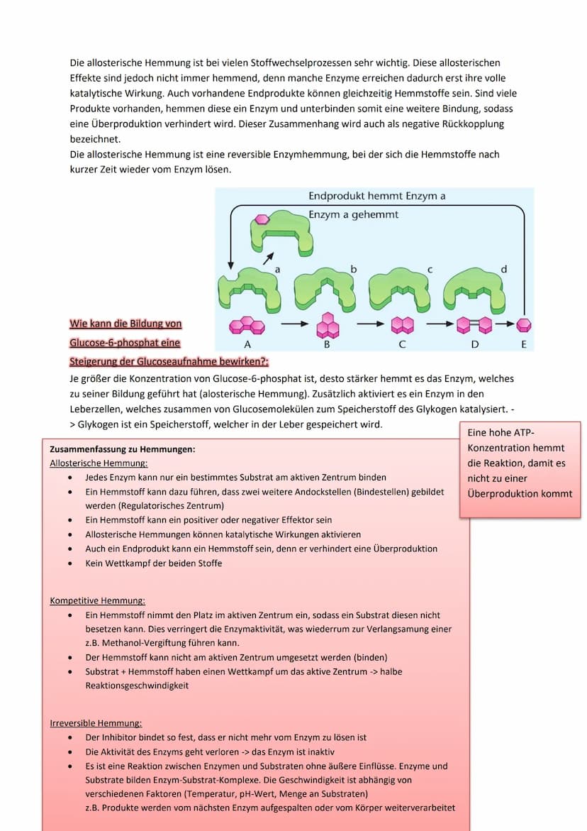 Hemmungen bei Enzymen
Enzyme werden durch andere Moleküle reguliert -> kompetitive Hemmung:
Wenn außer dem eigenen Substrat auch andere Stof