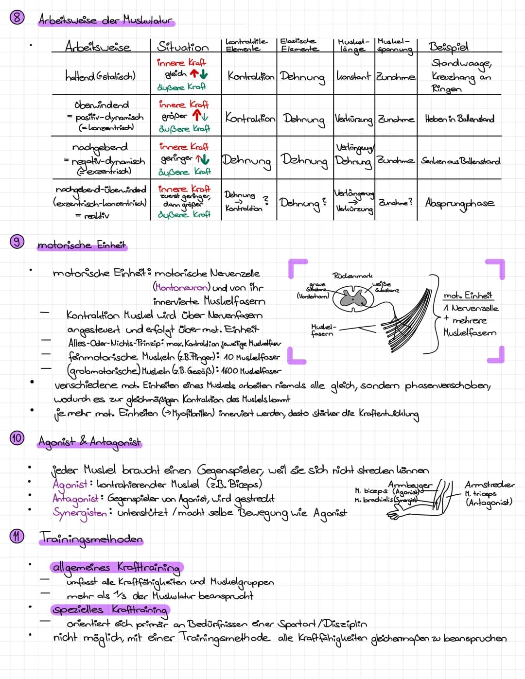 Kraft
11 Grund Krafttraining
Vermeidung degenerativer Erkrankungen des Bewegungsapparats (Rückenschmerzen, etc.)
Verringerung Verletzungsgef