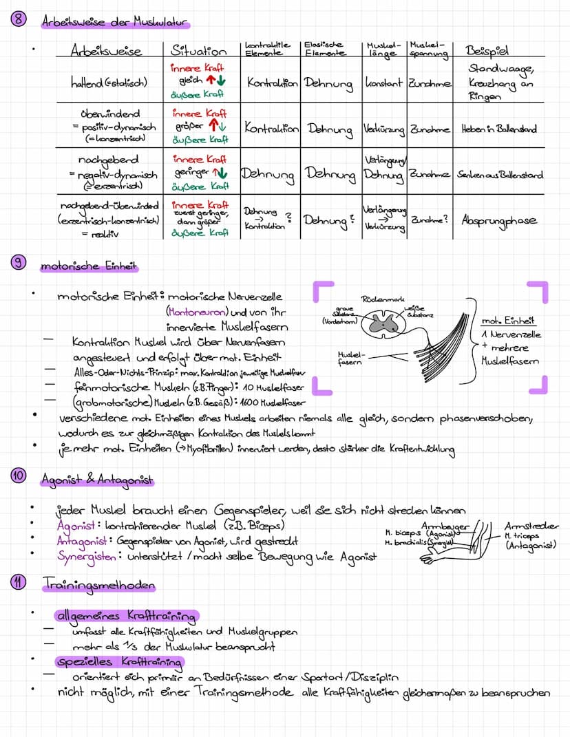 Kraft
11 Grund Krafttraining
Vermeidung degenerativer Erkrankungen des Bewegungsapparats (Rückenschmerzen, etc.)
Verringerung Verletzungsgef