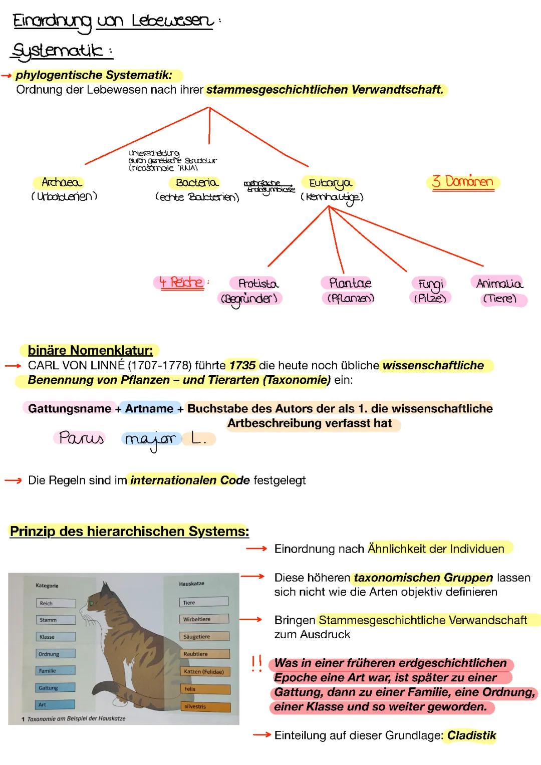 Systematik der Lebewesen und Evolution – Einteilung in 5 Reiche und Carl von Linné