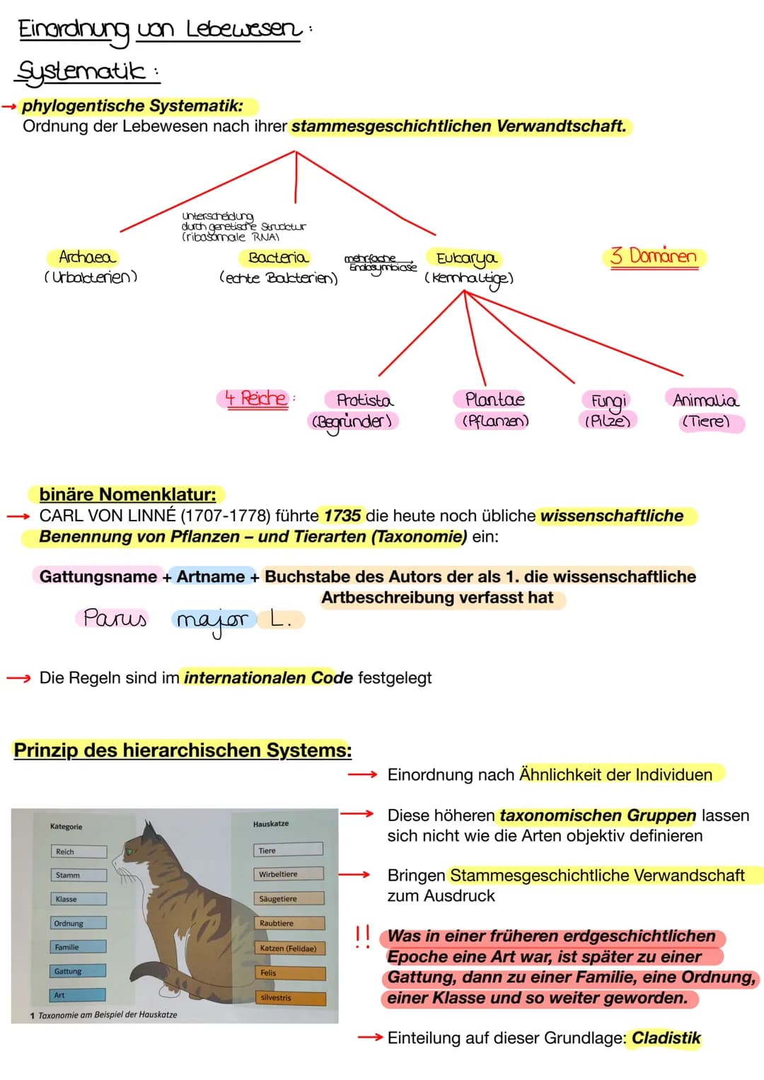 Einordnung von Lebewesen
Systematik:
→ phylogentische Systematik:
Ordnung der Lebewesen nach ihrer stammesgeschichtlichen Verwandtschaft.
Ar