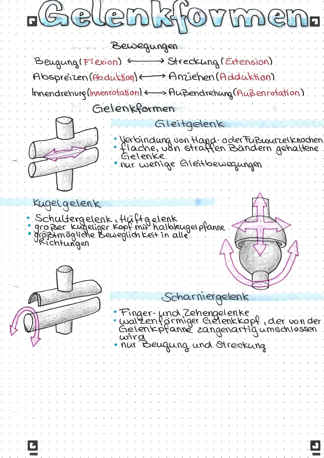 ▪Gelenkformen.
Bewegungen
Beugung (Flexion)
Streckung (Extension)
—
Abspreizen (Abduktion) Anziehen (Adduktion).
Innendrehung (Innenrotation