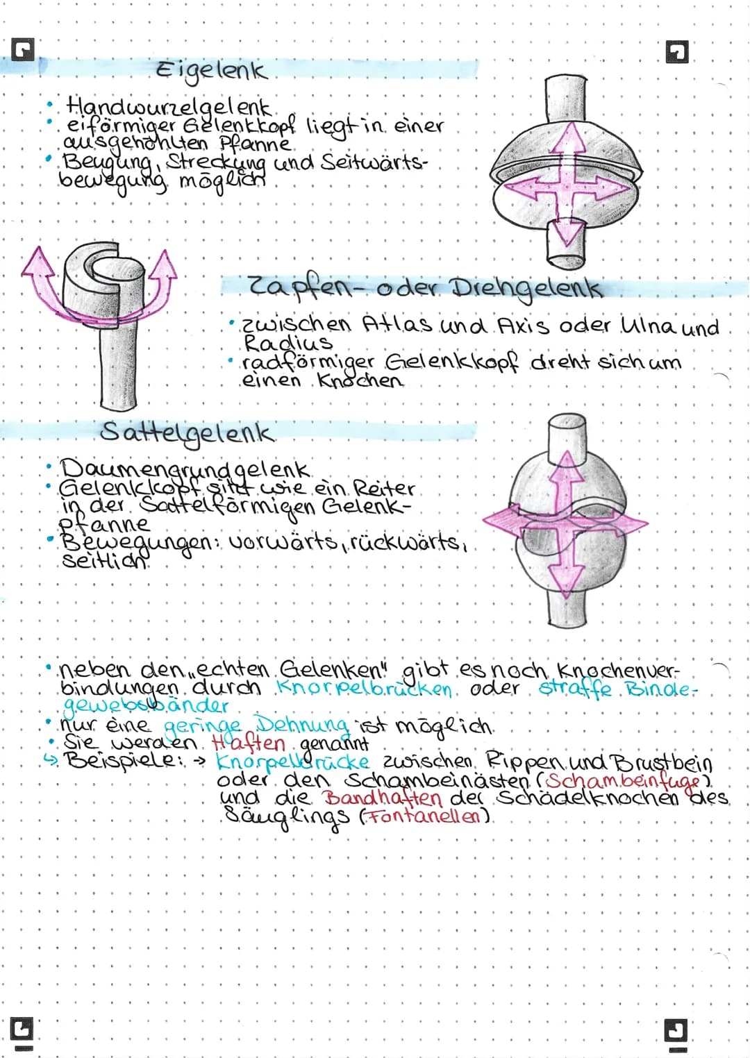 ▪Gelenkformen.
Bewegungen
Beugung (Flexion)
Streckung (Extension)
—
Abspreizen (Abduktion) Anziehen (Adduktion).
Innendrehung (Innenrotation