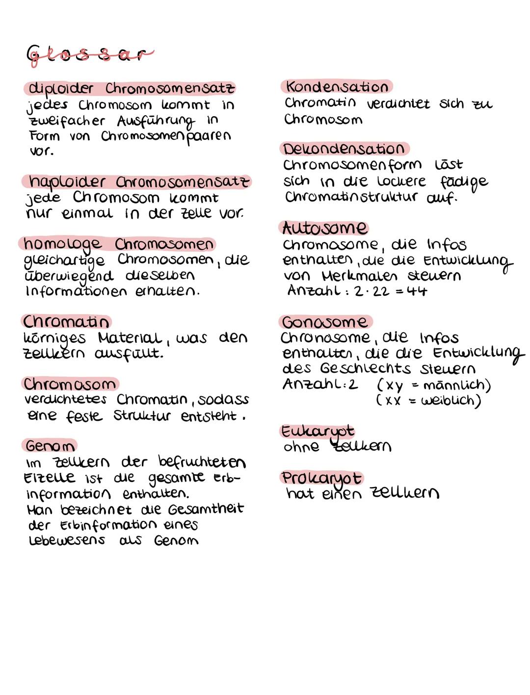 Lernzettel
Chromosomen
88
-Chromatid
Telomere
Centromer
- homologe
Chromosomen
Chromosome findet man nur in Eukaryoten
Ein Chromosom besteht