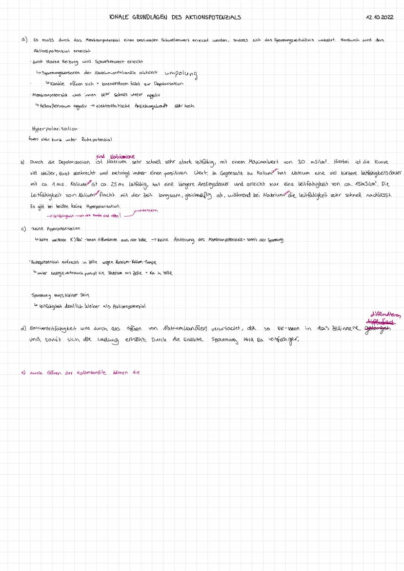 STRUKTUR FUNKTION DES NERVENSYSTEMS
Reizreaktionskette
Reiz
2.B. Beleidigung
Reaktion
1.B. Schlag
Nesseltier
Sinnesorgan
Organ
2.B. Muskel
G