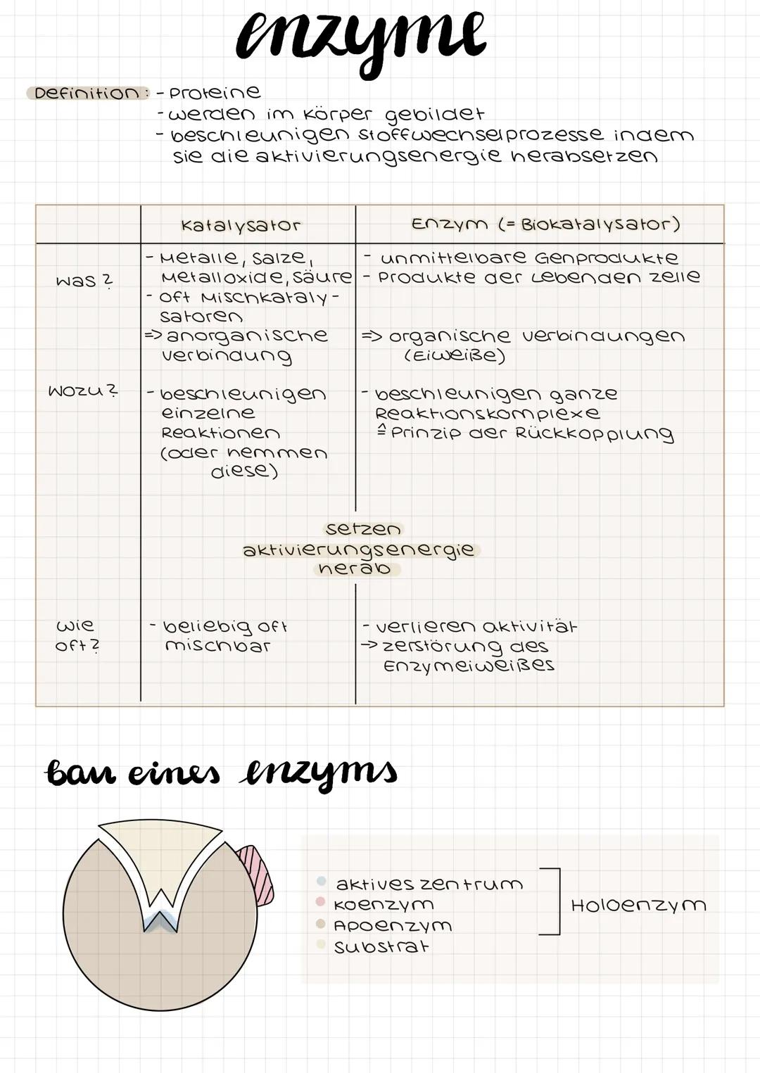 # enzyme

Definition: Proteine

- werden im Körper gebildet
- beschleunigen stoffwechsel prozesse inaem
- sie die aktivierungsenergie nerabs