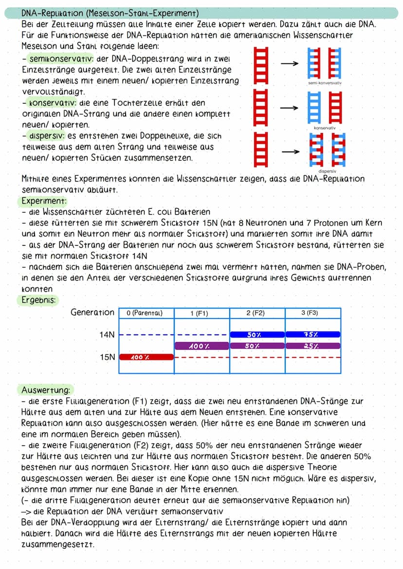 molekulargenetik
Aufbau und Struktur der DNA
Erklärung DNA
Doppelhelix-Struktur der DNA: Die DNA besitzt eine schraubenförmige Struktur und 