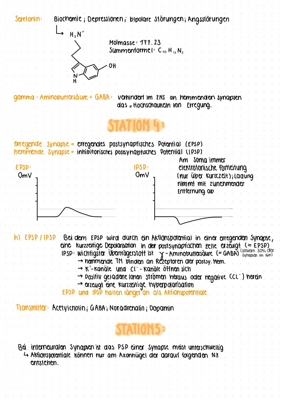(a) Schemazeichnung einer Synapses
b). are
LERNZIRKEL
STATION 1
Axon
Mitochondrium
Vesikel
Teilbild 1 (3):
Teilbild 2 (1):
präsynaptische Me