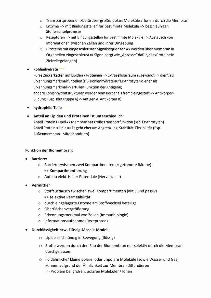 Interpretation elektronenmikroskopischer Bilder
Bild
Zellorganelle
Zellkern (Nucleus)
Mitochondrien
Chloroplasten
Vakuole
Hauptfunktion Zell