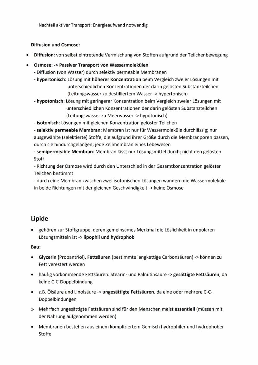 Interpretation elektronenmikroskopischer Bilder
Bild
Zellorganelle
Zellkern (Nucleus)
Mitochondrien
Chloroplasten
Vakuole
Hauptfunktion Zell