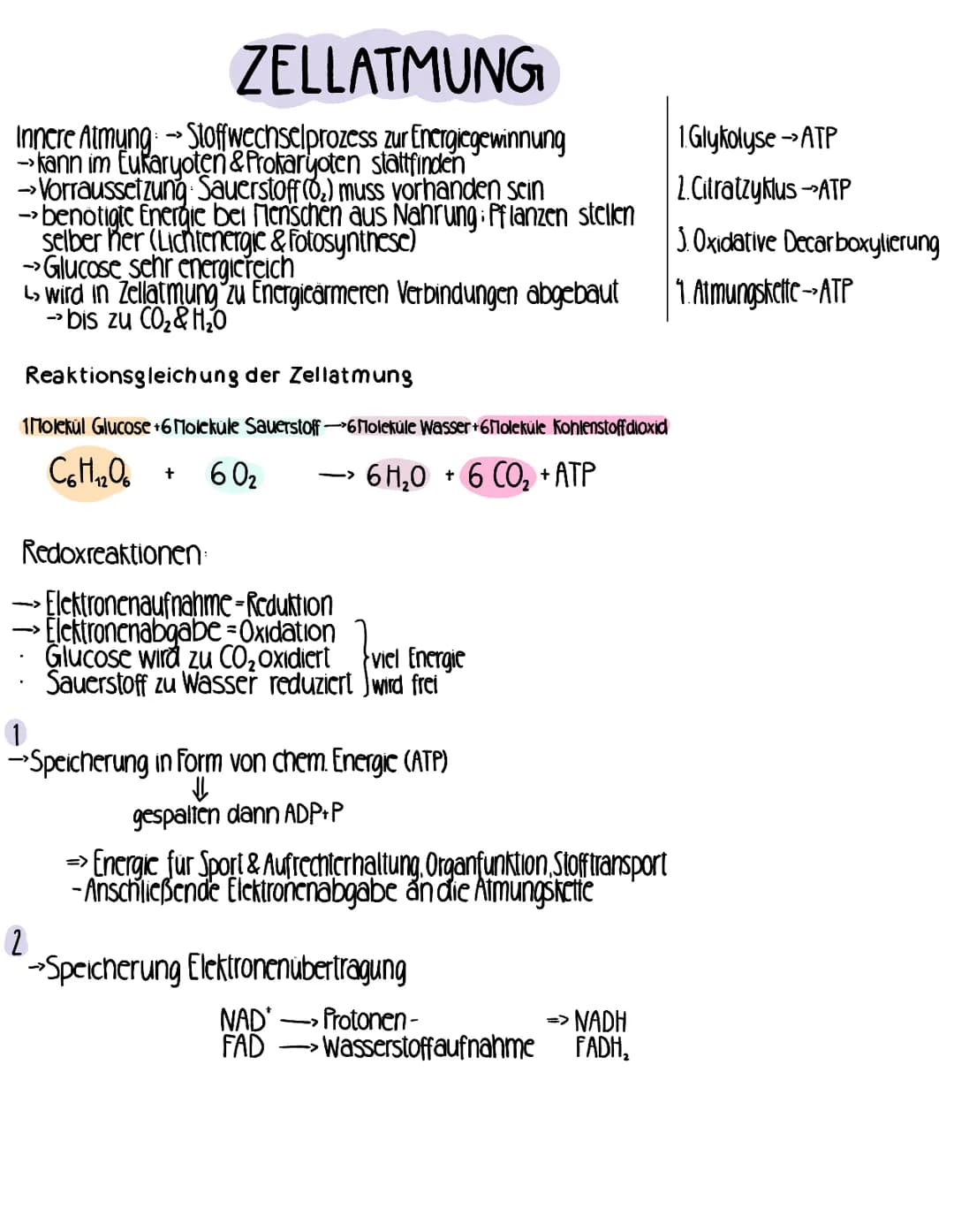 ZELLATMUNG
Innere Atmung → Stoffwechselprozess zur Energiegewinnung
→kann im Eukaryoten & Prokaryoten stattfinden
→ Vorraussetzung Sauerstof