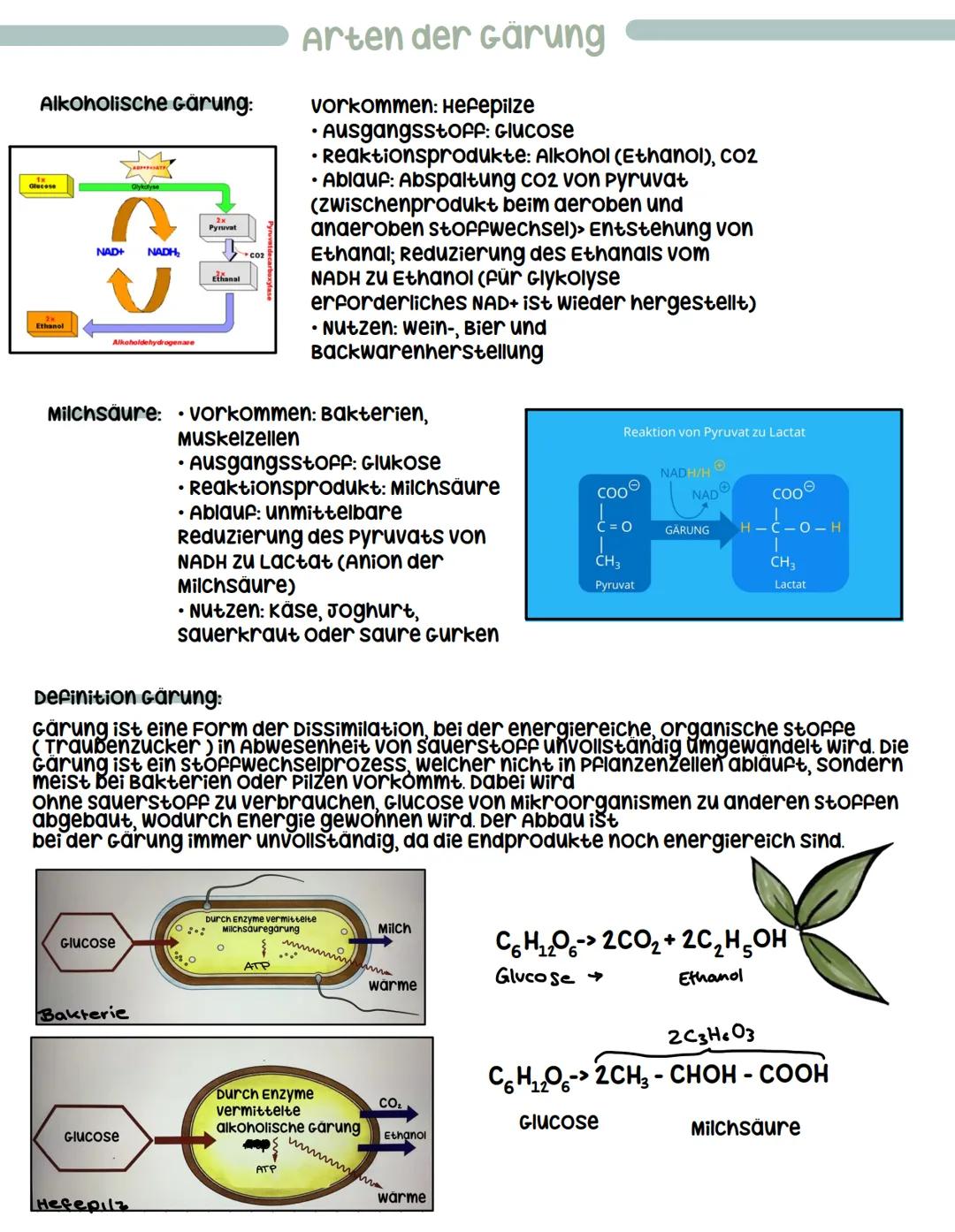 # Gärung

= Form der Dissimilation
-> Energieliefernde stoffwechselprozesse, der ohne ENFIUSS VON
sauerstoff (anerob) stattfinden
-> Abbau k
