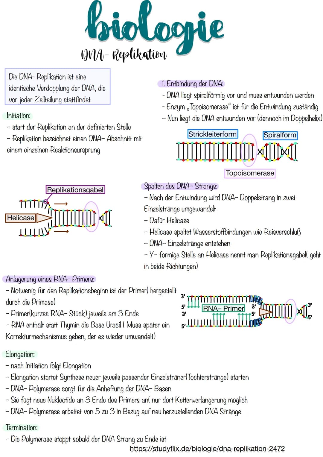 biologie
DNA-Replikation
Die DNA- Replikation ist eine
identische Verdopplung der DNA, die
vor jeder Zellteilung stattfindet.
Initiation:
- 