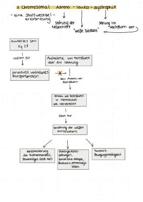 Know Adrenoleukodystrophie (X-ALD) thumbnail