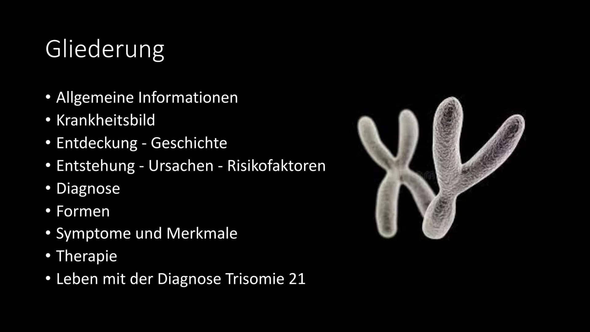 Trisomie 21
Das Down Syndrom Gliederung
●
●
●
●
Allgemeine Informationen
Krankheitsbild
Entdeckung - Geschichte
Entstehung - Ursachen - Risi