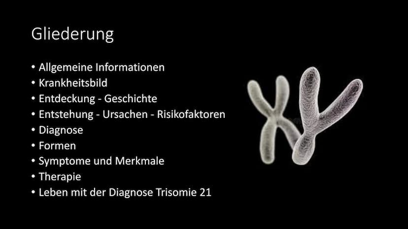 Trisomie 21
Das Down Syndrom Gliederung
●
●
●
●
Allgemeine Informationen
Krankheitsbild
Entdeckung - Geschichte
Entstehung - Ursachen - Risi