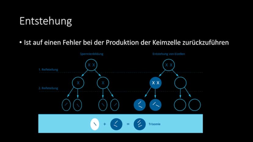 Trisomie 21
Das Down Syndrom Gliederung
●
●
●
●
Allgemeine Informationen
Krankheitsbild
Entdeckung - Geschichte
Entstehung - Ursachen - Risi