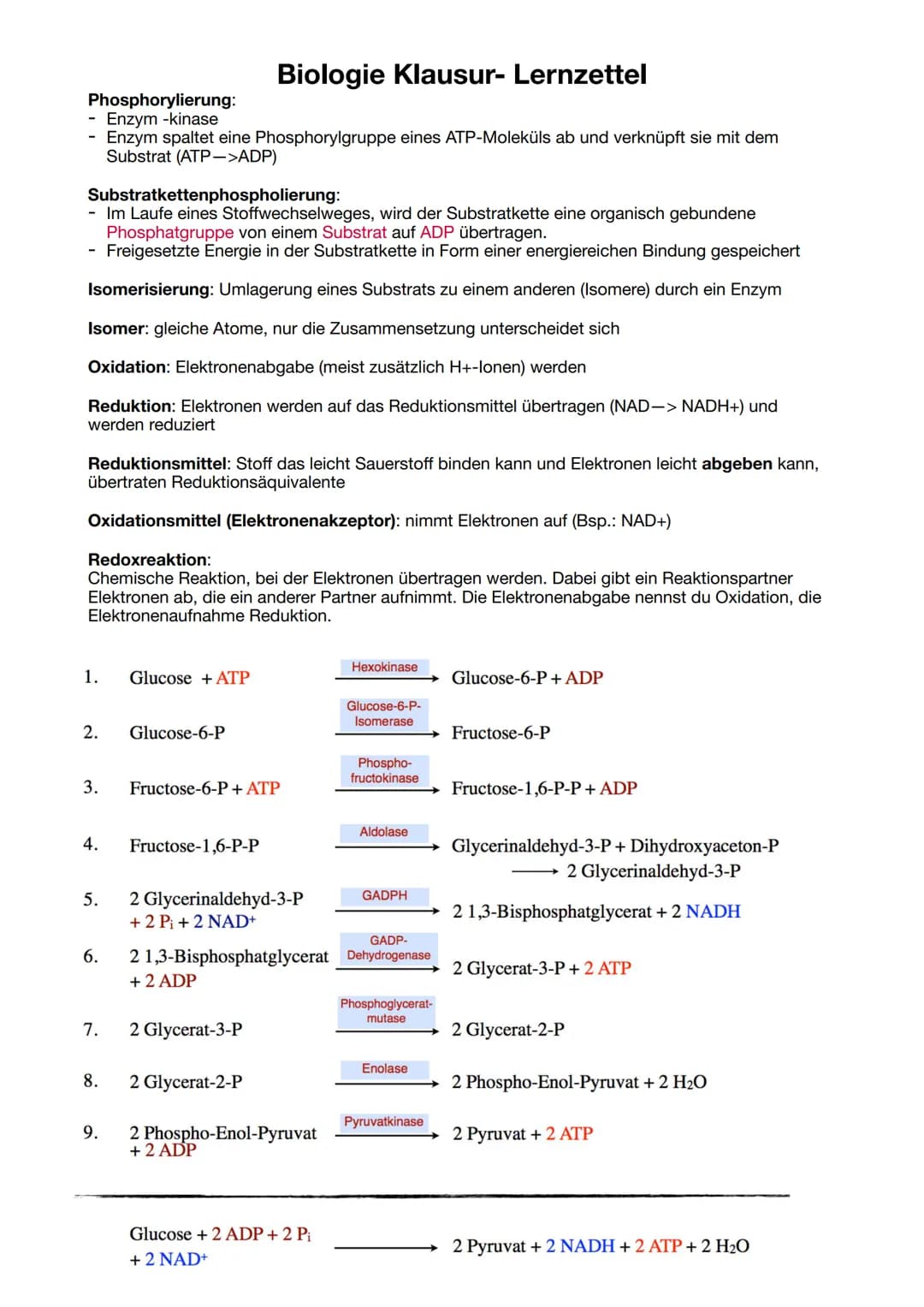 Biologie Klausur-Lernzettel
ATP = Adenosintriphosphat
Definition: Energieträger, der bei der Verstoffwechselung von Kohlenhydraten hergestel