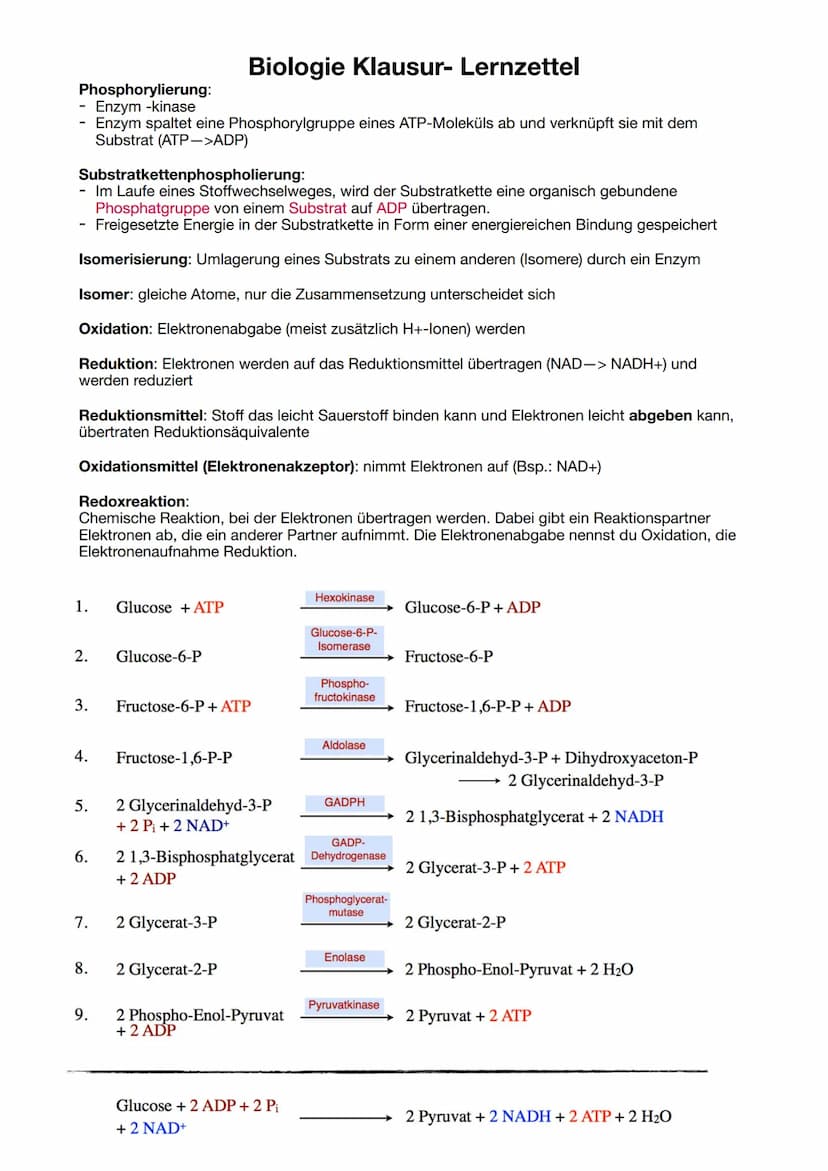 Biologie Klausur-Lernzettel
ATP = Adenosintriphosphat
Definition: Energieträger, der bei der Verstoffwechselung von Kohlenhydraten hergestel