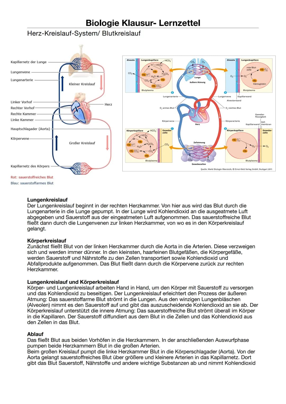 Biologie Klausur-Lernzettel
ATP = Adenosintriphosphat
Definition: Energieträger, der bei der Verstoffwechselung von Kohlenhydraten hergestel