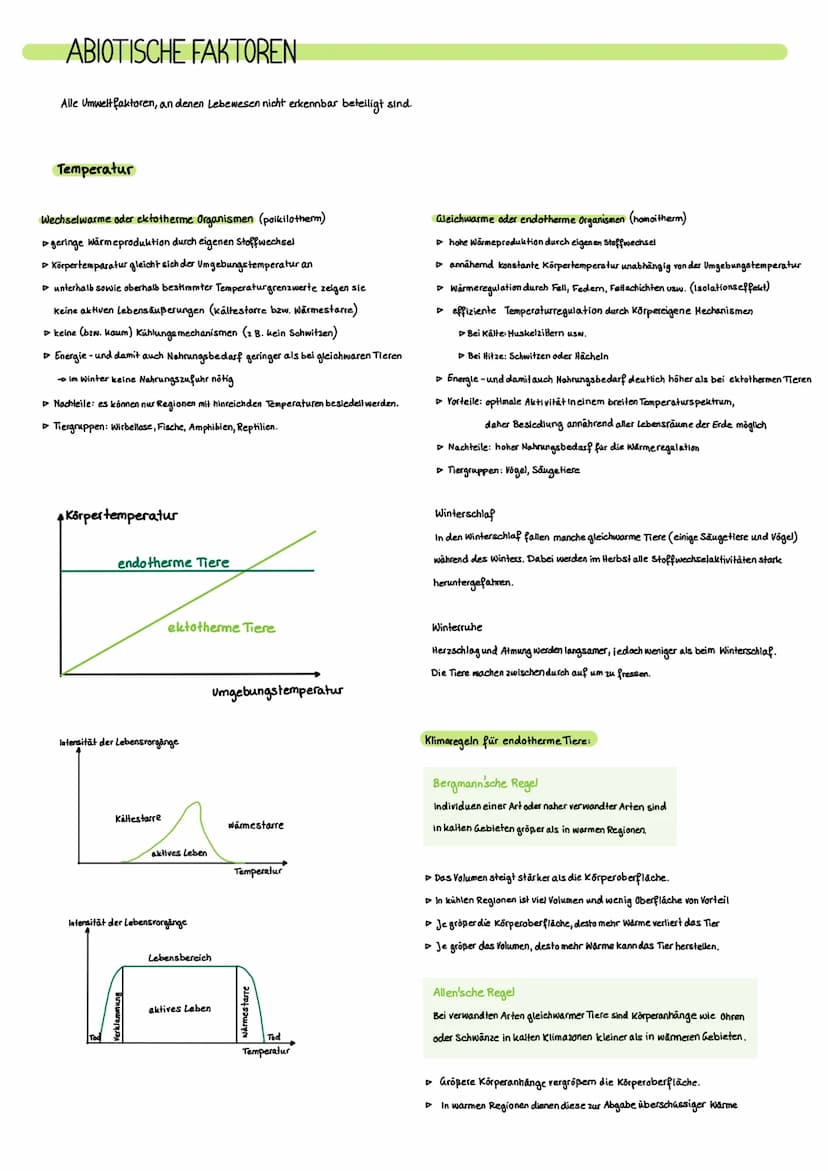 ÖKOLOGIE
Die Ökologie ist ein Teilgebiet der Biologie, das sich mit den Wechselbeziehungen zwischen Organismen und ihrer Umwelt beschäftigt.