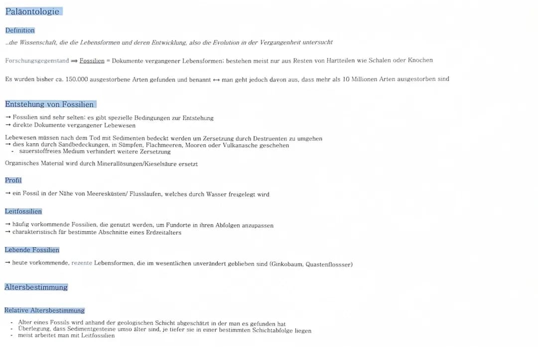 Paläontologie 
