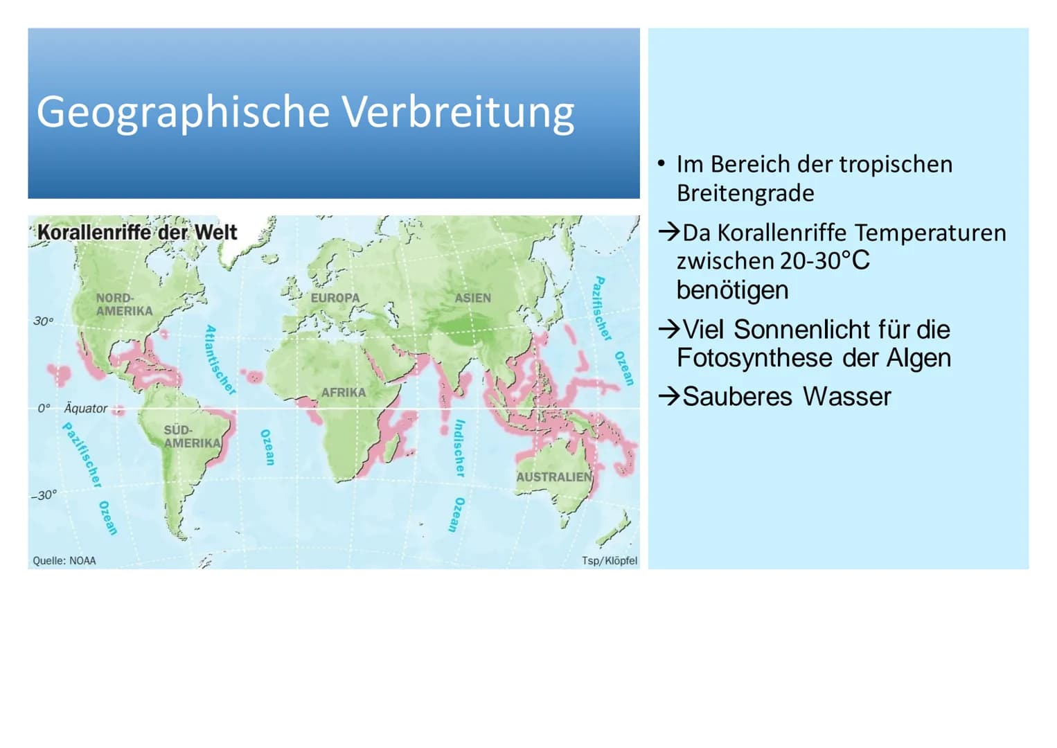 Ökosystem Korallenriff Inhaltsverzeichnis
Allgemeines
Geographische Verbreitung
• Tiere im Korallenriff
Symbiose zwischen Zooxanthellen und 