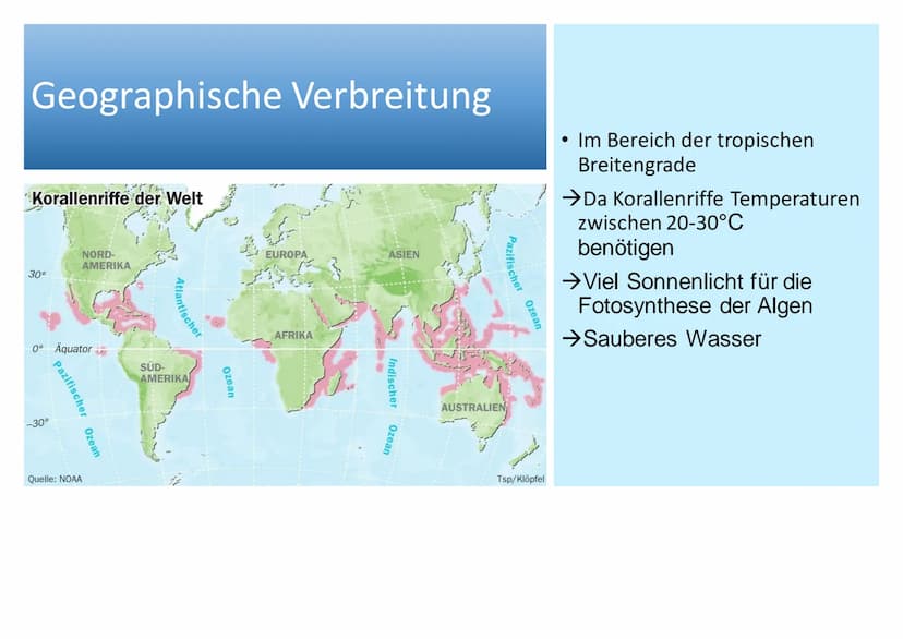 Ökosystem Korallenriff Inhaltsverzeichnis
Allgemeines
Geographische Verbreitung
• Tiere im Korallenriff
Symbiose zwischen Zooxanthellen und 