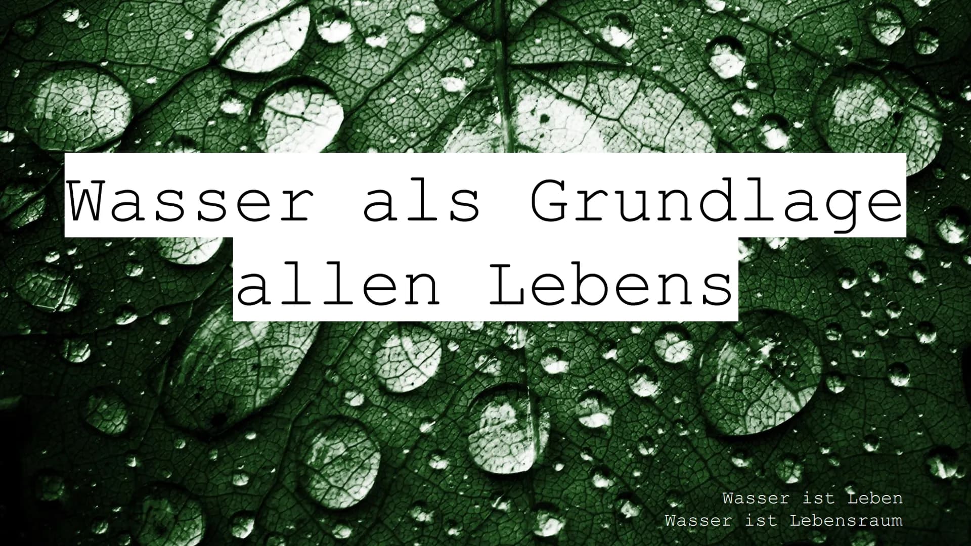 Wasser als Grundlage
allen Lebens
Wasser ist Leben
Wasser ist Lebensraum Gliederung:
●
●
Wasser
poikilohydre (wechselfeuchte Pflanzen)
homoi