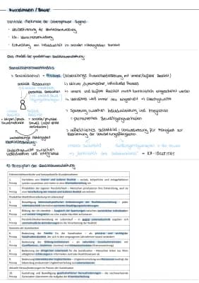 Know Hurrelmann/Bauer thumbnail