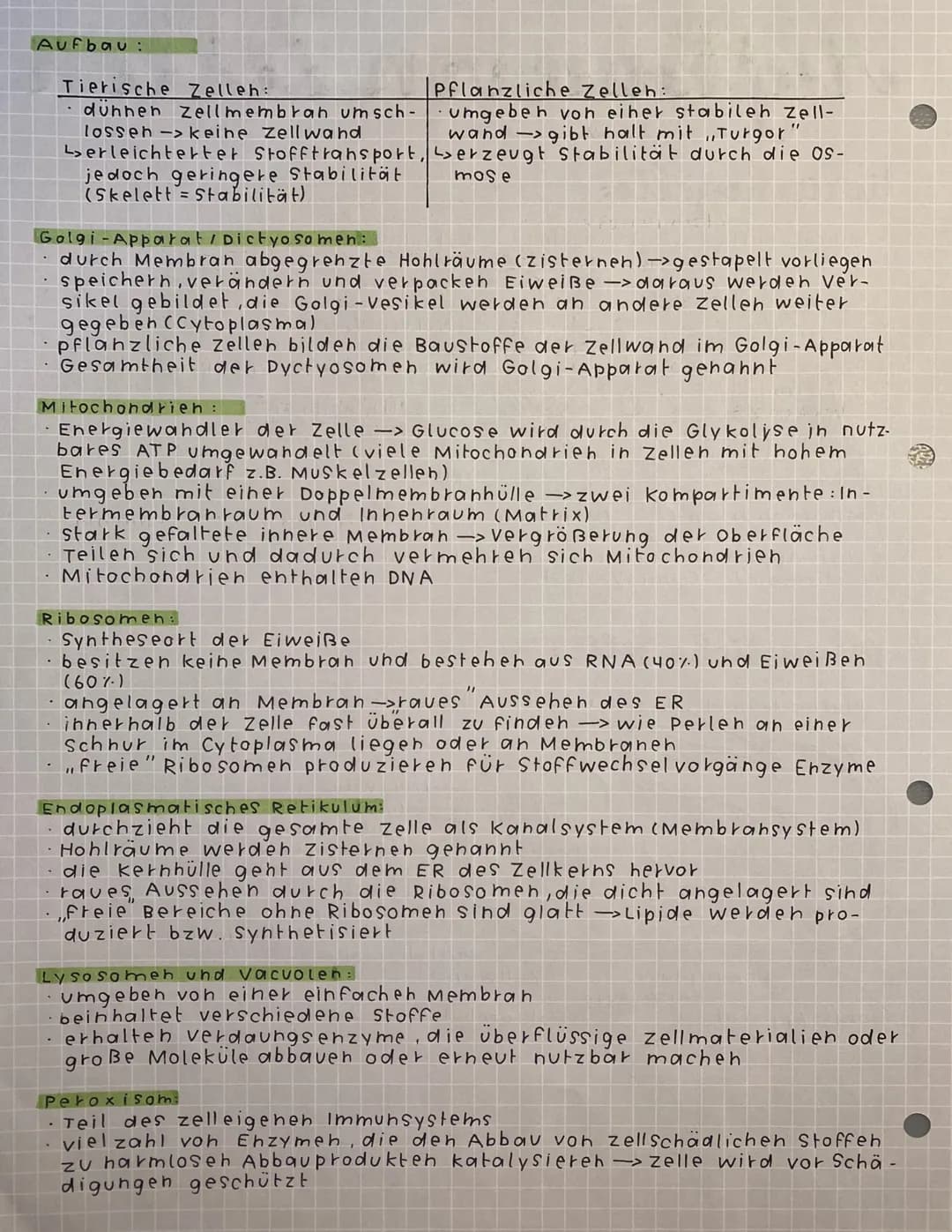 Aufbaue von Zellen
(Zytologie)
tierische zelle:
Mikrotubuli
ILysosom
Co
0000
iss
ooooooo
Mitochondrium
Golgi-Apparat
(Dictyosom) Golgi -Vesi