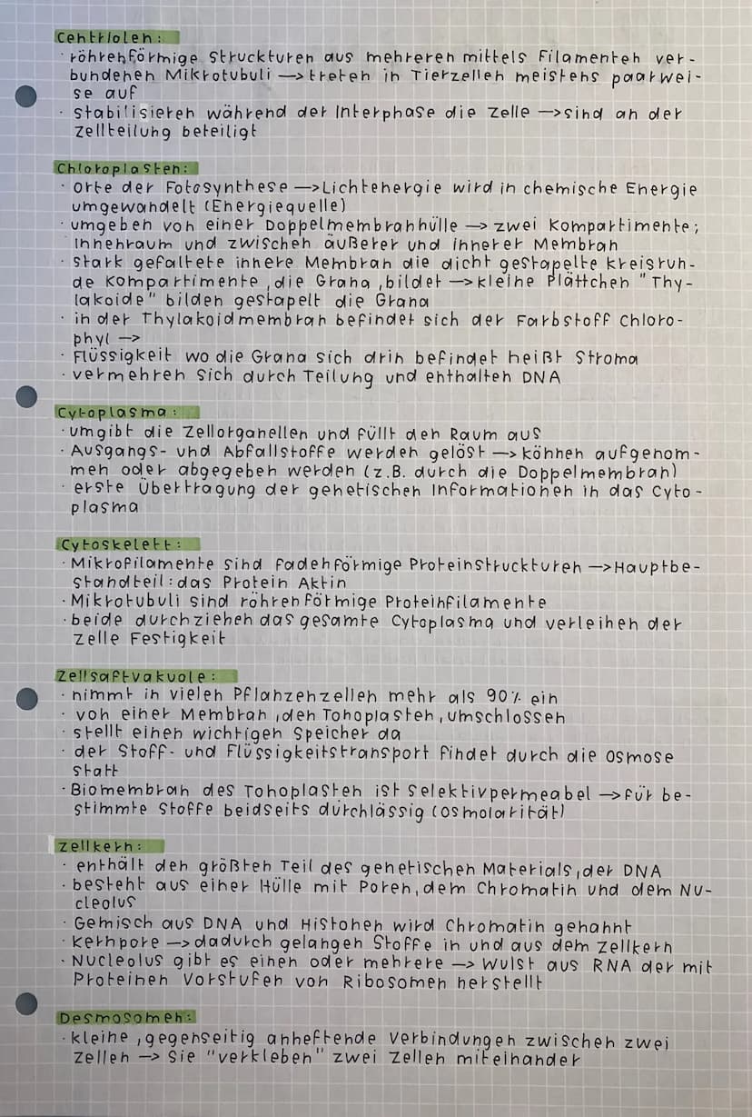 Aufbaue von Zellen
(Zytologie)
tierische zelle:
Mikrotubuli
ILysosom
Co
0000
iss
ooooooo
Mitochondrium
Golgi-Apparat
(Dictyosom) Golgi -Vesi