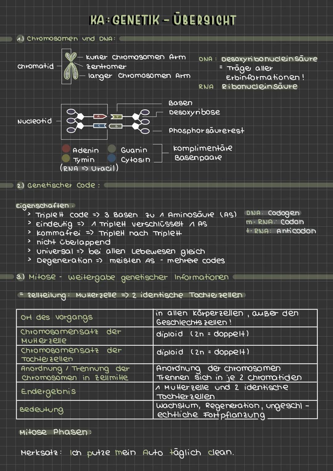 ^
2
Phase. Interphase:
2 Phase Prophase:
3
Inter phase
4
3 Phase -
Prophase
Ky
metaphase
Anaphase
6
4 Phase - Anaphase :
Telephase
> Erbinfo