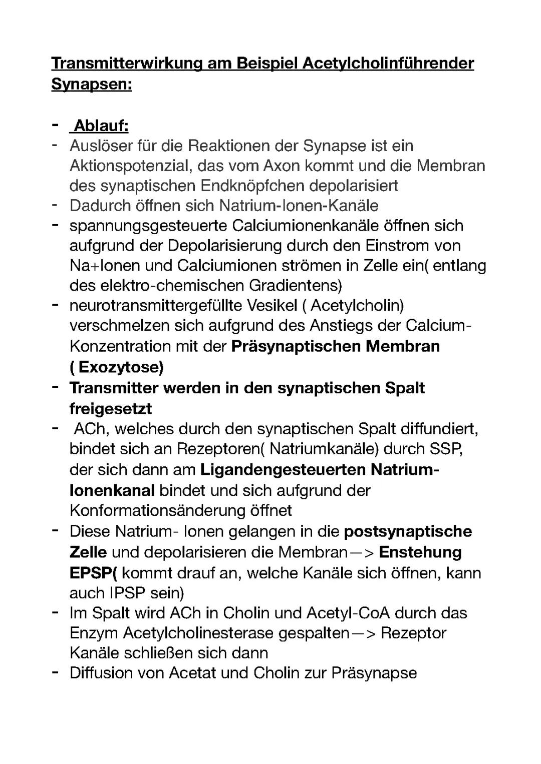 Transmitterwirkung Acetylcholin