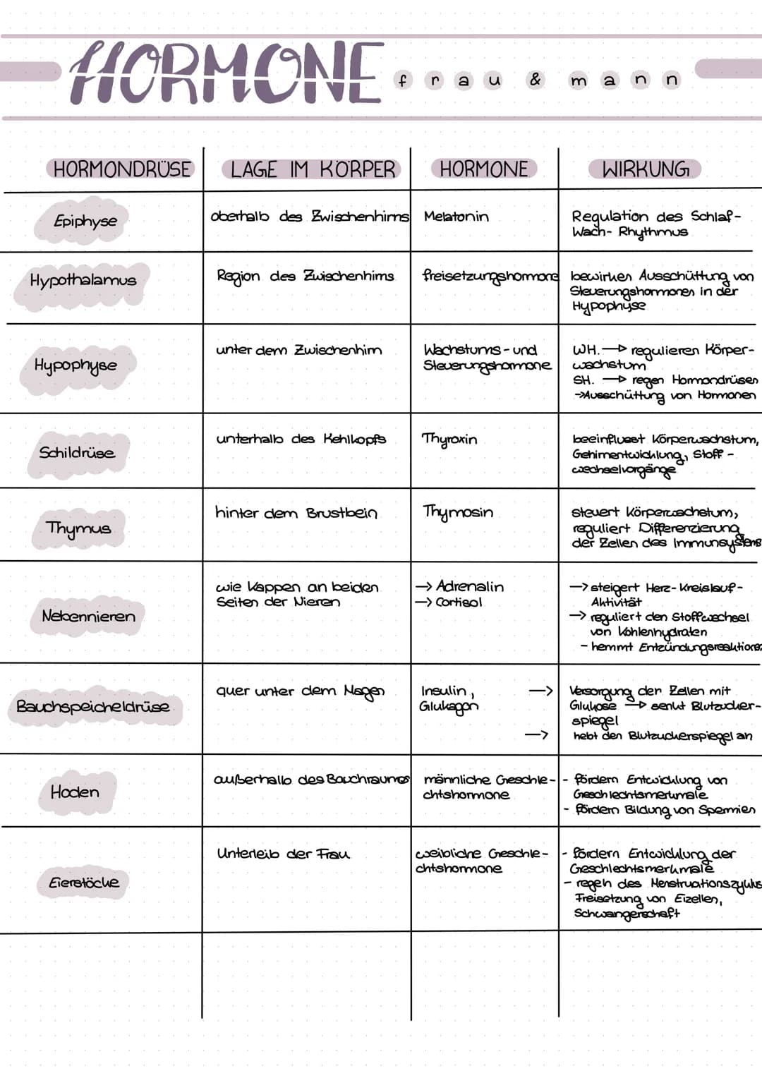HORMONE
HORMONDRÜSE
Epiphyse
Hypothalamus
Hypophyse
Schildrüse
Thymus
Nebennieren
Bauchspeicheldrüse.
Hoden
Eierstöcke
LAGE IM KÖRPER
Region