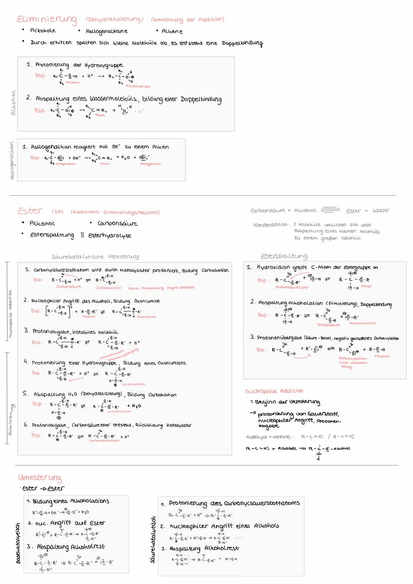 Polykondensation
• Monomere mit funktionellen Gruppen (Alkohole, Allansäuren, ...)
aus 2 Monomeren wird unter Abspaltung eines kleinen Molek
