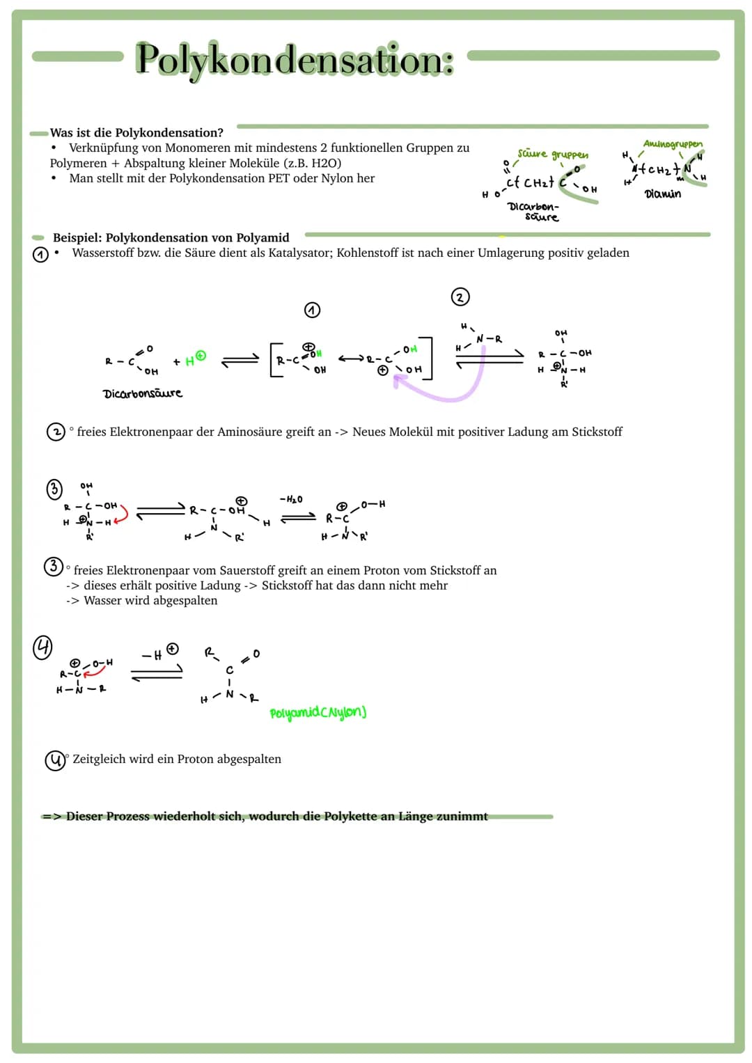Was ist die Polykondensation?
Verknüpfung von Monomeren mit mindestens 2 funktionellen Gruppen zu
Polymeren + Abspaltung kleiner Moleküle (z